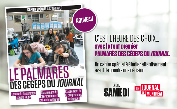 Palmarès
